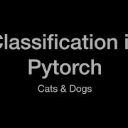 Cats And Dogs Classification In Pytorch Episode1 Get Image Data