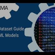 Create Custom Datasets For AML Model Training Step By Step Guide