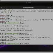 Buffer Overflow Lab 6 Task 2