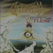 Mutant Christ Cryptopsy HQ