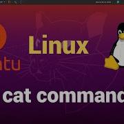 Cat Command In Linux Concatenating Files In Linux Viewing Files In Linux Linux Command Line