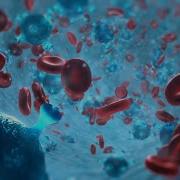 Stardust Biology After Effects Tutorial Final Result