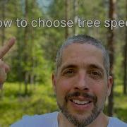 How To Choose Tree Species In The App Arboreal Forest English Subtitles