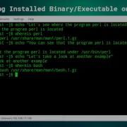 Locating Installed Binary Executable On Linux