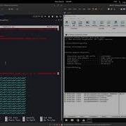 Disk Savvy Enterprise 10 4 18 Buffer Overflow SEH