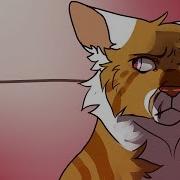 2 Week Warrior Cats OC PMV MAP CLOSED 14 14 Done Stay With Someone Like You