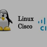 Как выполнять команды Linux на Cisco IOS