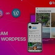 How To Embed Instagram Feed On WordPress Website Tutorial