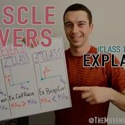 Muscle Levers 1st Class 2nd Class 3rd Class Explained