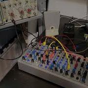 Serge STS Animate TWS Feedback Patch With Delay