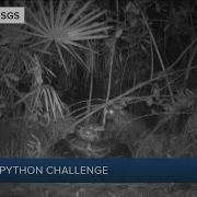 2023 Python Challenge