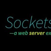 Program Your Own Web Server In C Sockets