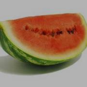 Rotting Watermelon Decomposition Timelapse Footage