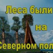 Сейчас на Земле лесов нет Они были на Северном полюсе