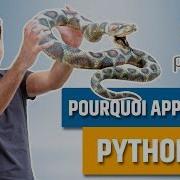 Pourquoi Apprendre Python
