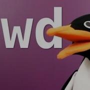 Print Working Directory Pwd Shell Command Bin Bash