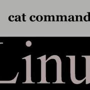 Linux Command Part 6 C Cat Command