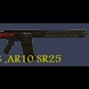 DPMS 308 LR 308 And ARMALITE AR10 2