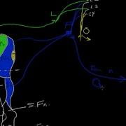 Lumbar Plexus Tutorial