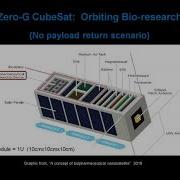 CubeSats As A Microgravity Research Platform ASGSR 2020
