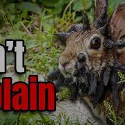 MYTHICAL Creatures That ACTUALLY Existed In Prehistory