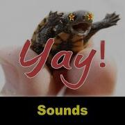 Yay Sound Effects All Sounds