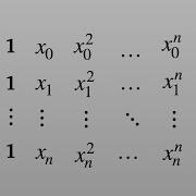The Vandermonde Matrix And Polynomial Interpolation