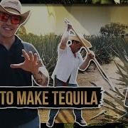 HOW TEQUILA IS MADE