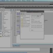 Adicionando Action No Painel Code Snippets Do Flash CS5