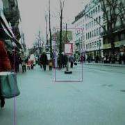 Pedestrian Detection