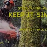 Tree Felling Stick To The Basics