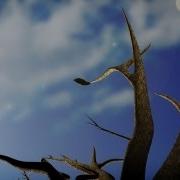DD 284 Seasons Particle Systems Spring 2013