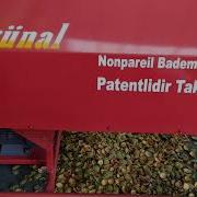 NONPAREİL BADEMİ El Ile Kırılan Cıtır Badem YEŞİL KABUK SOYMAVE AYIKLAMA MAKİNESİ