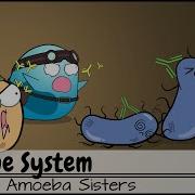 Immune System