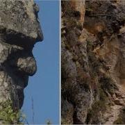 Arizona Sphinx Petrified Trees Rock Faces Mountains From A New Perspective Topics For Discussion