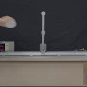 Reinforcement Learning Transition Control Of A Double Inverted Pendulum
