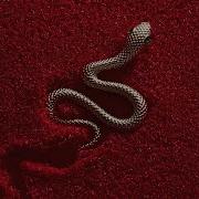 Zach Diamond PYTHONS LYRIC VIDEO