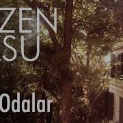 Sezen Aksu Sarı Odalar Lyrics Şarkı Sözleri