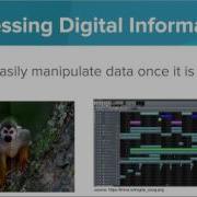 What Is Digital Information