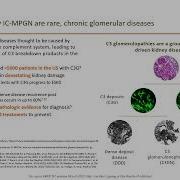 Understanding The Devastating Impact Of C3G And Primary IC MPGN