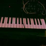 Bugbrand BoardWeevil Processed By Korg MS 20