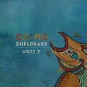 Cosmo Sheldrake Wriggle Lyrics Tradução PT BR