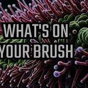 Shocking Microscope Findings Exposing My Used Toothbrush
