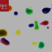 Why These Colored Droplets Appear To Be Alive