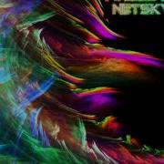Finale Madeon Netsky Remix