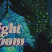 Night Bloom 2019 The Conservatory Of Flowers Nighttime Psychedelic Soirée