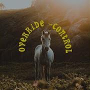 Override Control