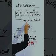 Mutation Mutagen Biology Mutation Mutagen Biology Youtubeshorts