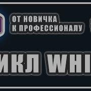 ЦИКЛ WHILE ЧТО ЭТО КАК РАБОТАЕТ C ОТ НОВИЧКА К ПРОФЕССИОНАЛУ 16