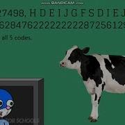 Cow Error 872
